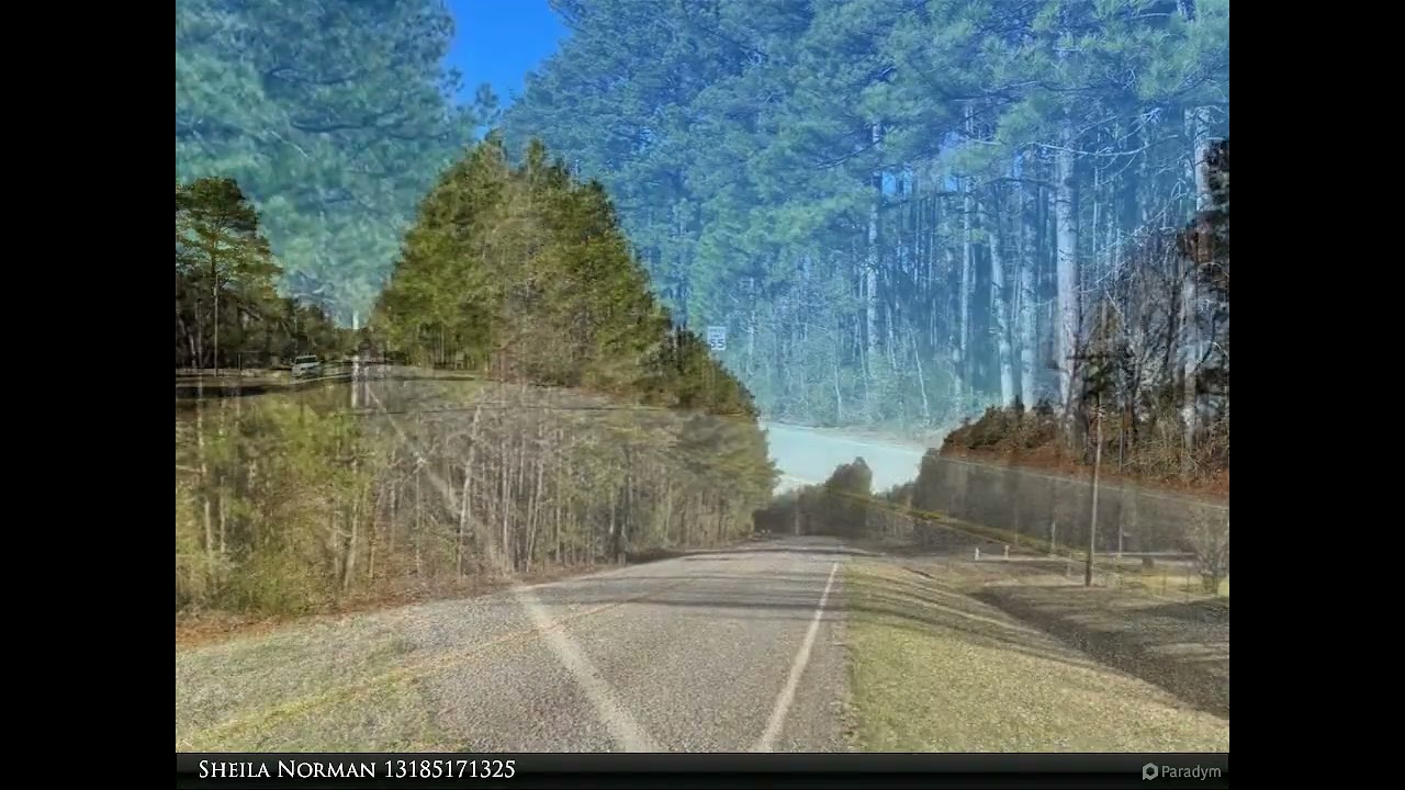 Diamond Realty & Associates - 14492 HWY 157