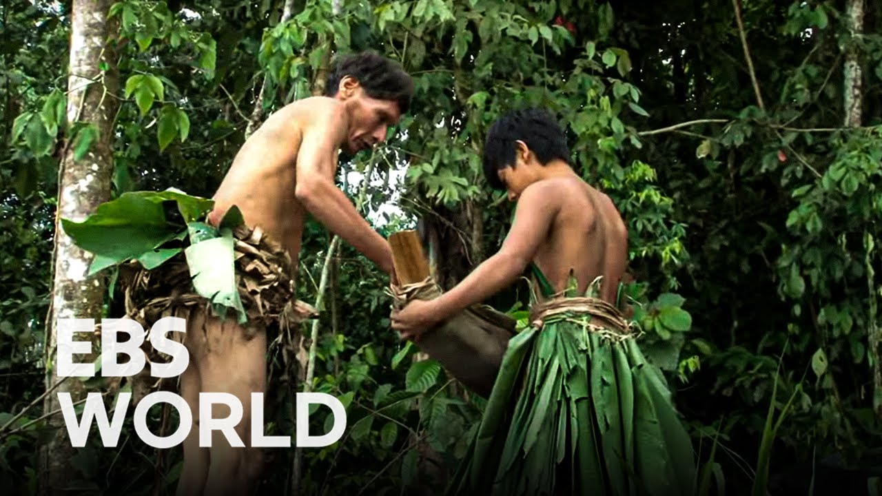 Bow Warriors of the Amazon Yuqui of BoliviaㅣExploring the Origin of Humanity