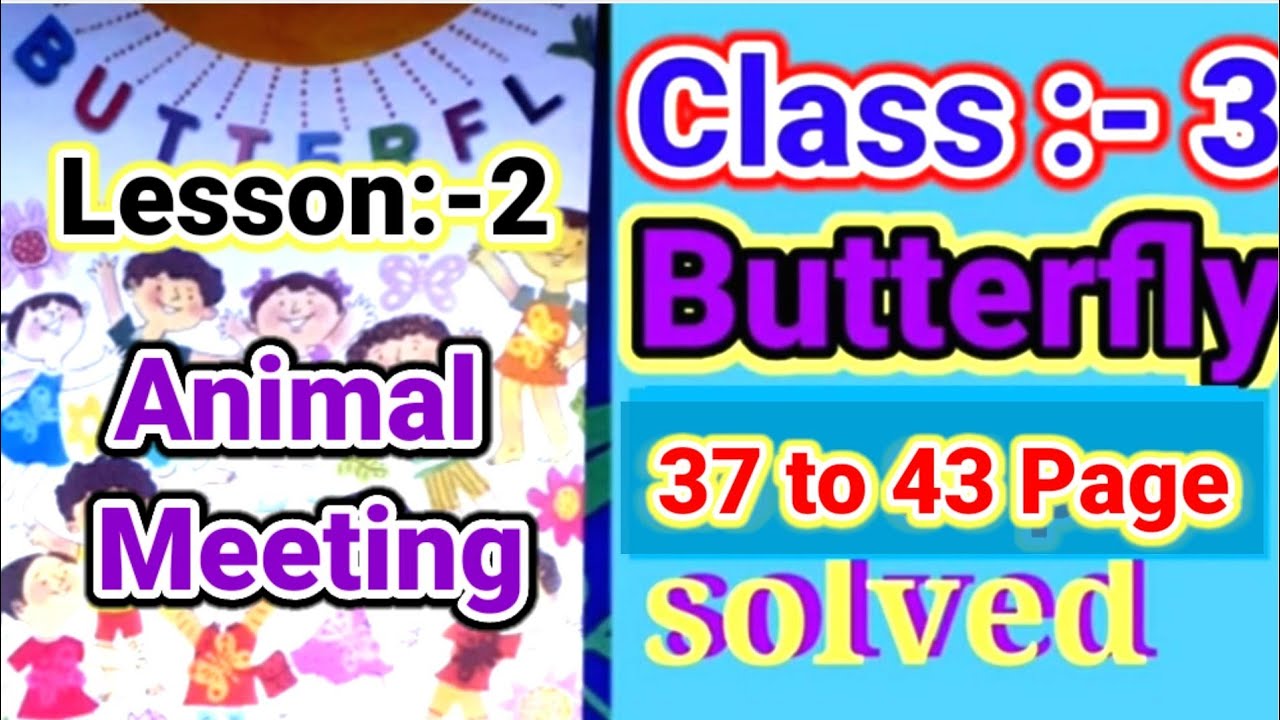 Class 3...English... Butterfly...Lesson 2 ...37 to 43 page...all activities