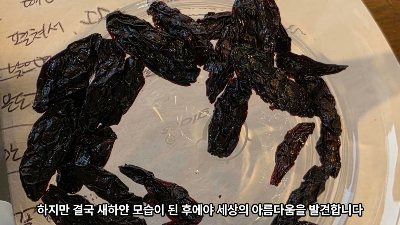 한 달에 한 번, 나를 위한 시간 힐링만개 꽃차 체험과 혼자만의 힐링 여행