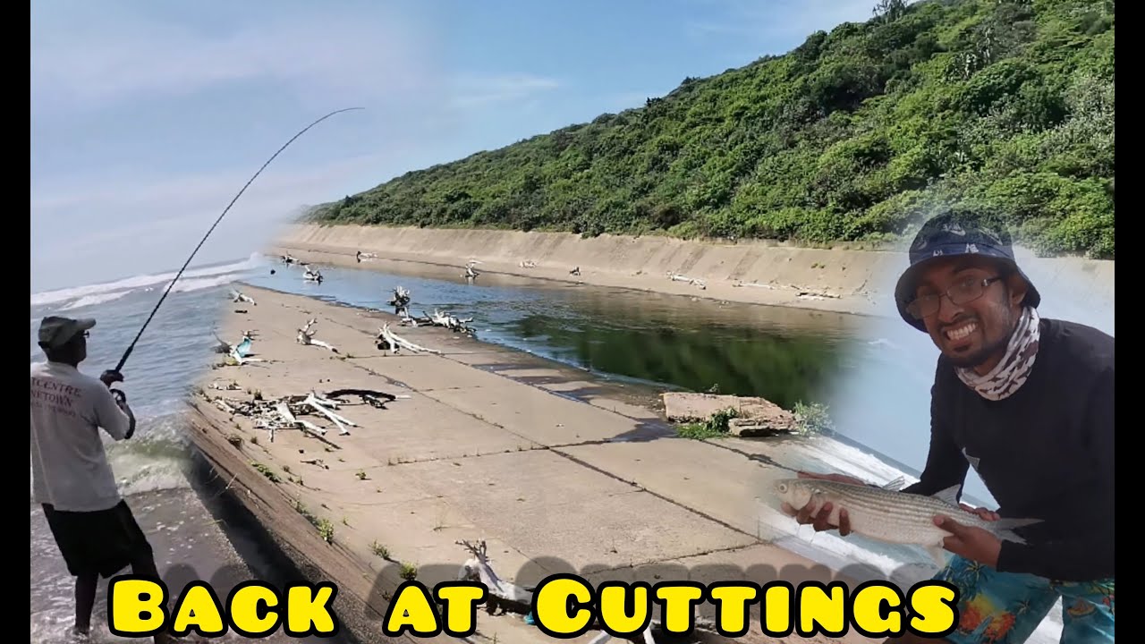 Возвращаемся к вырезкам🐟🎣 помашем Гарриком и покажем ему хаос💥