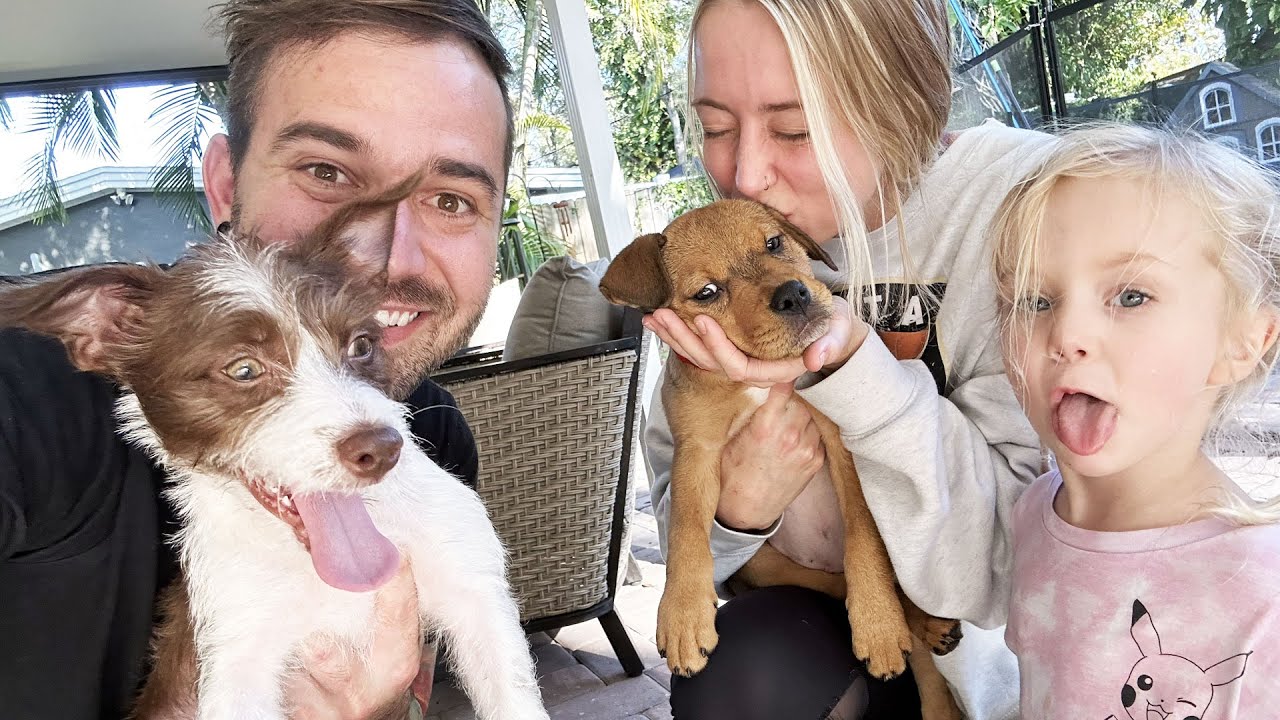 `We Adopted Two Dogs for our Family!