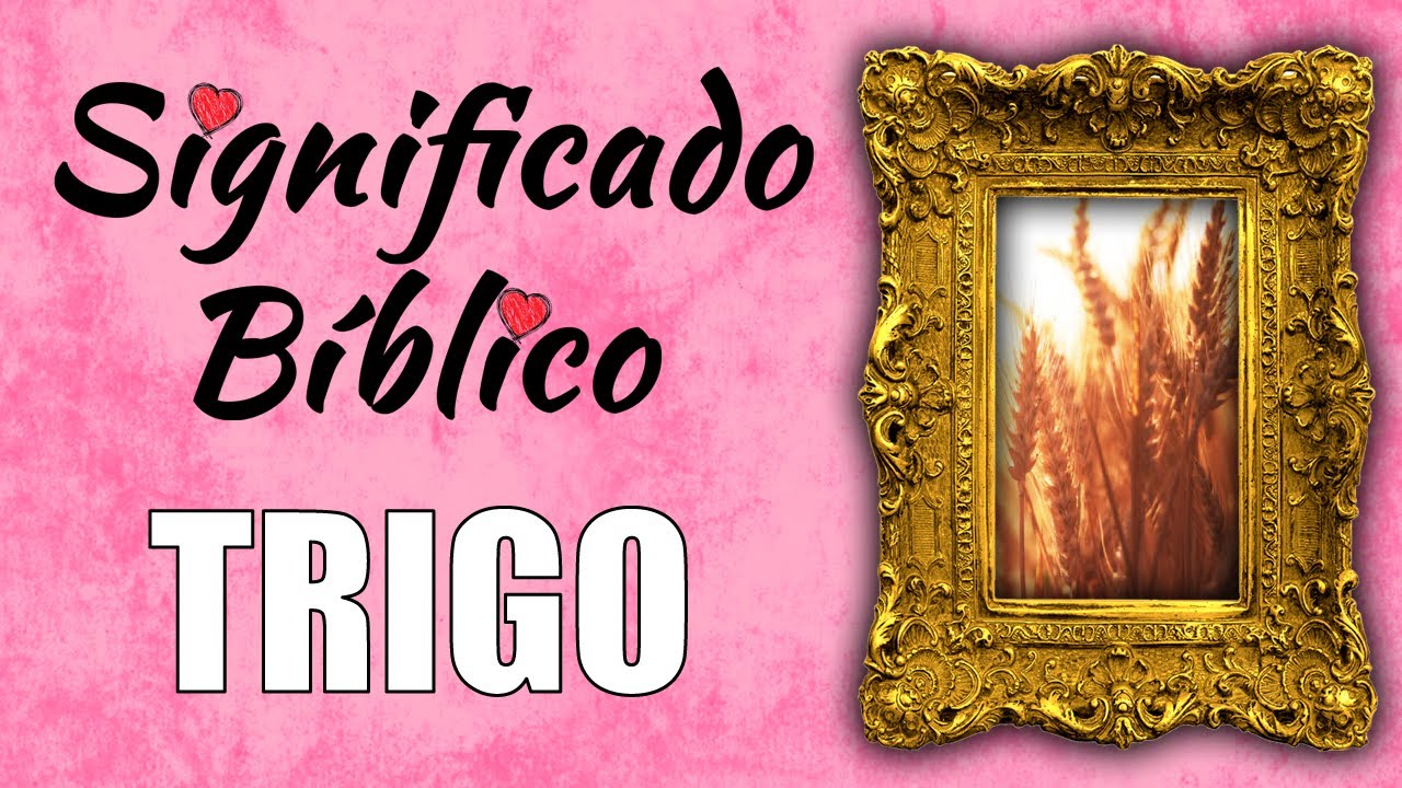 Trigo Significado Bíblico | ¿Qué Significa Trigo en la Biblia? 🙏