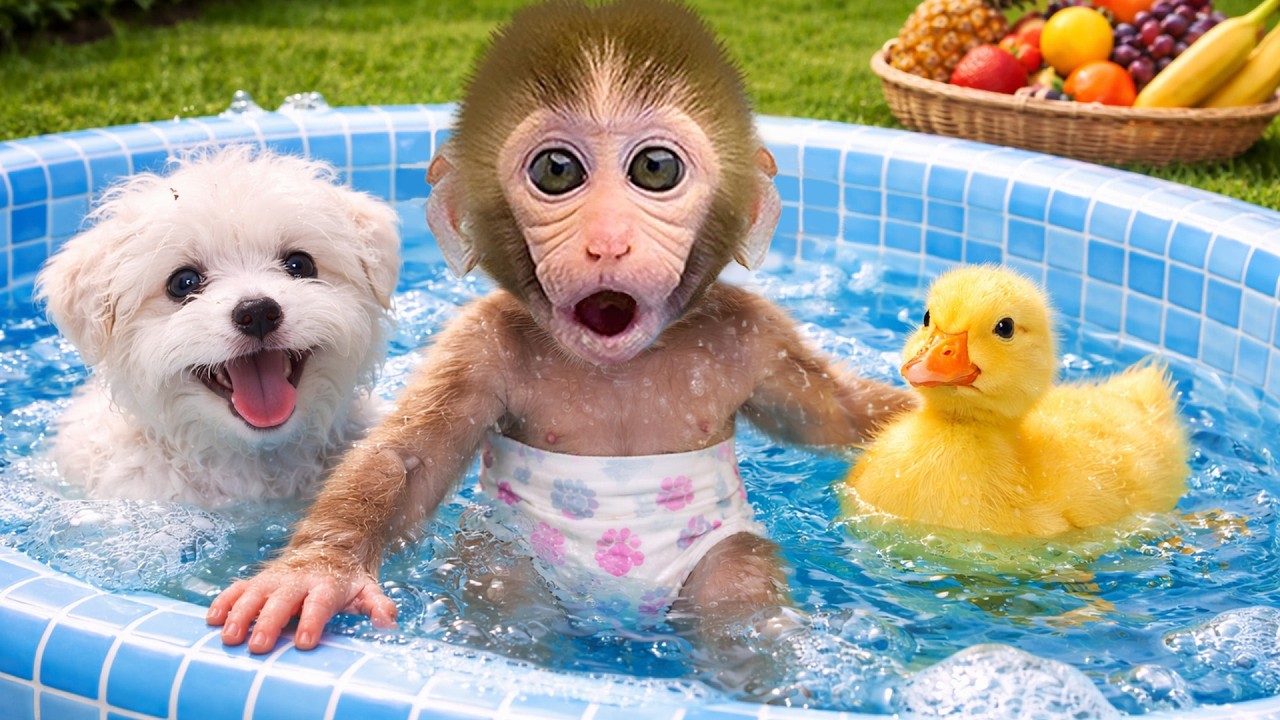 Beb&eacute; Mono GoGo Acampa Con Los Extraterrestres Y Se Ba&ntilde;a Con El Patito Y El Perrito! - Gogo ESP