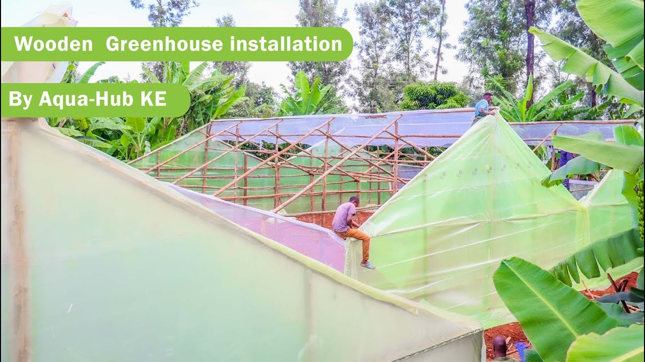 How to Build a Wooden Greenhouse Start to Finish