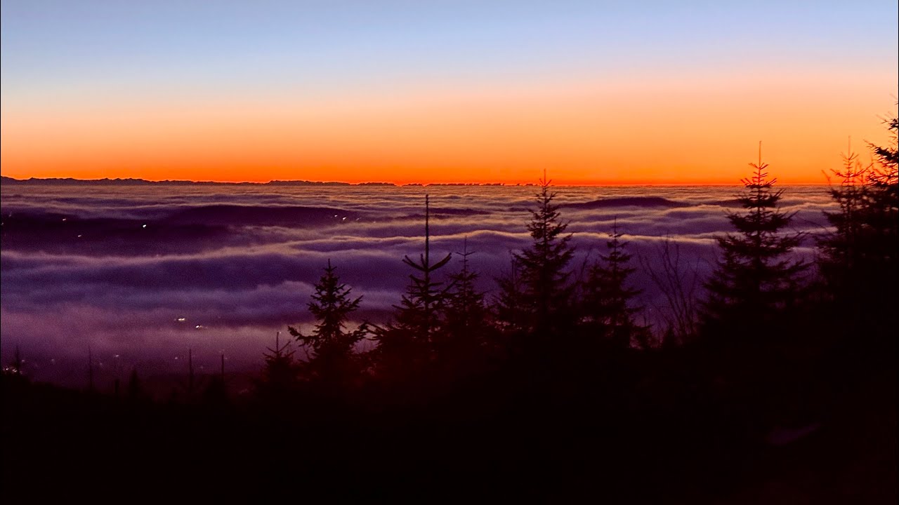 Sonnenuntergang im Böhmerwald über dem Nebelmeer 🧡 Bayerischer Plöckenstein 
