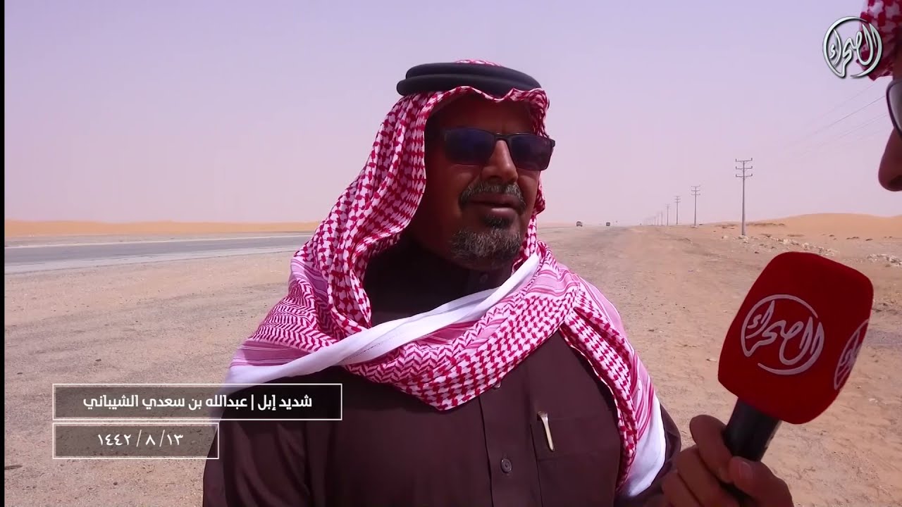 برنامج شديد أهل الإبل | مع مالك الإبل/ عبدالله بن سعدي الشيباني 13 - 8 - 1442