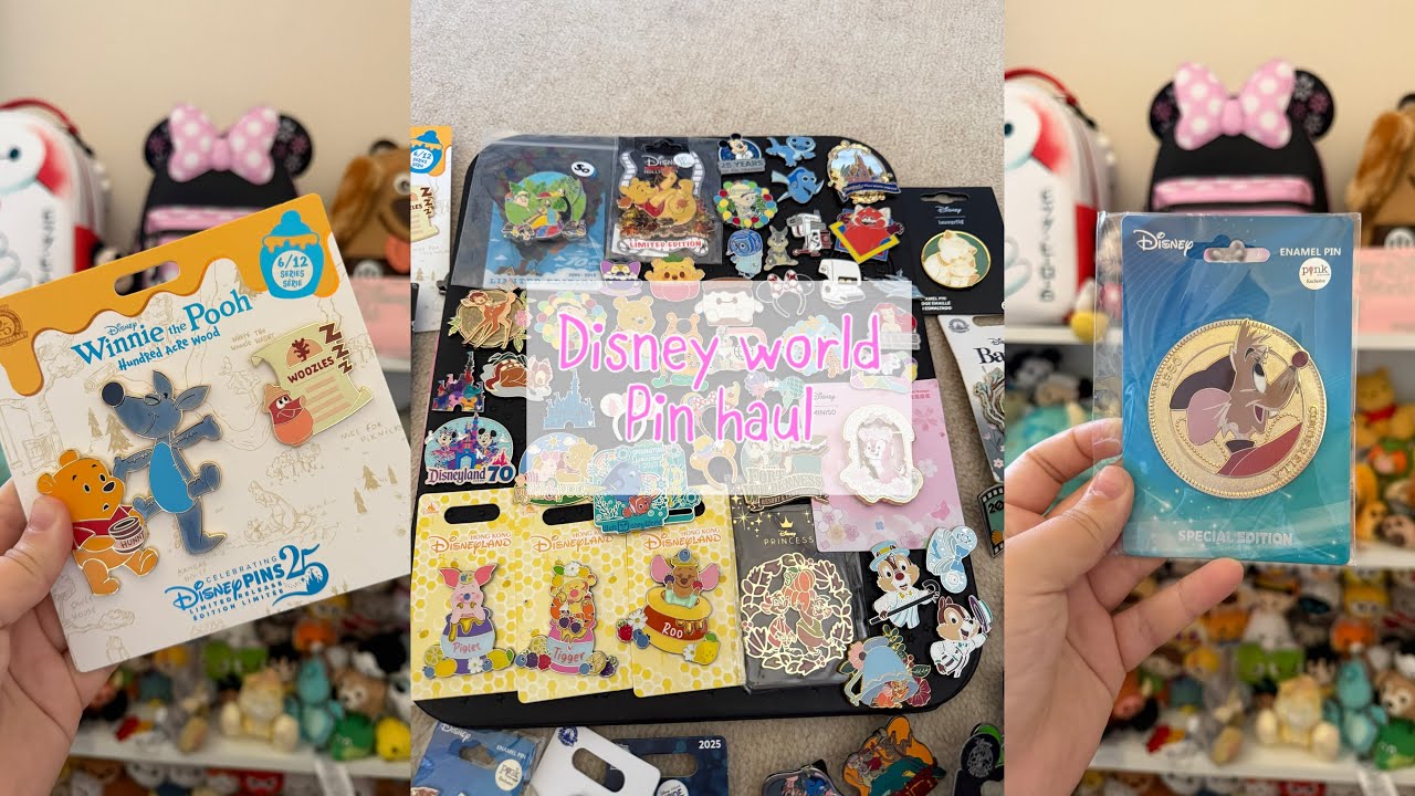 Disney world 2025 pin haul