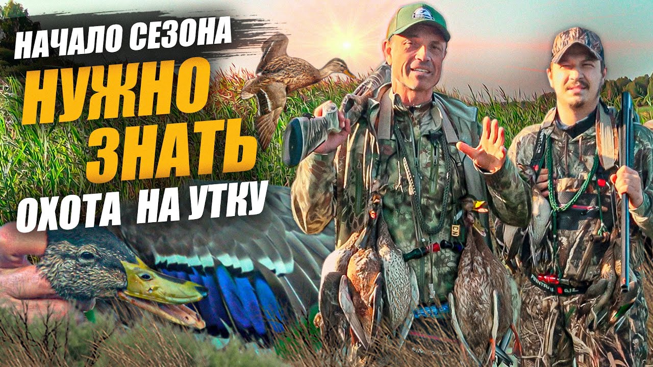 Тонкости охоты на утку в начале сезона