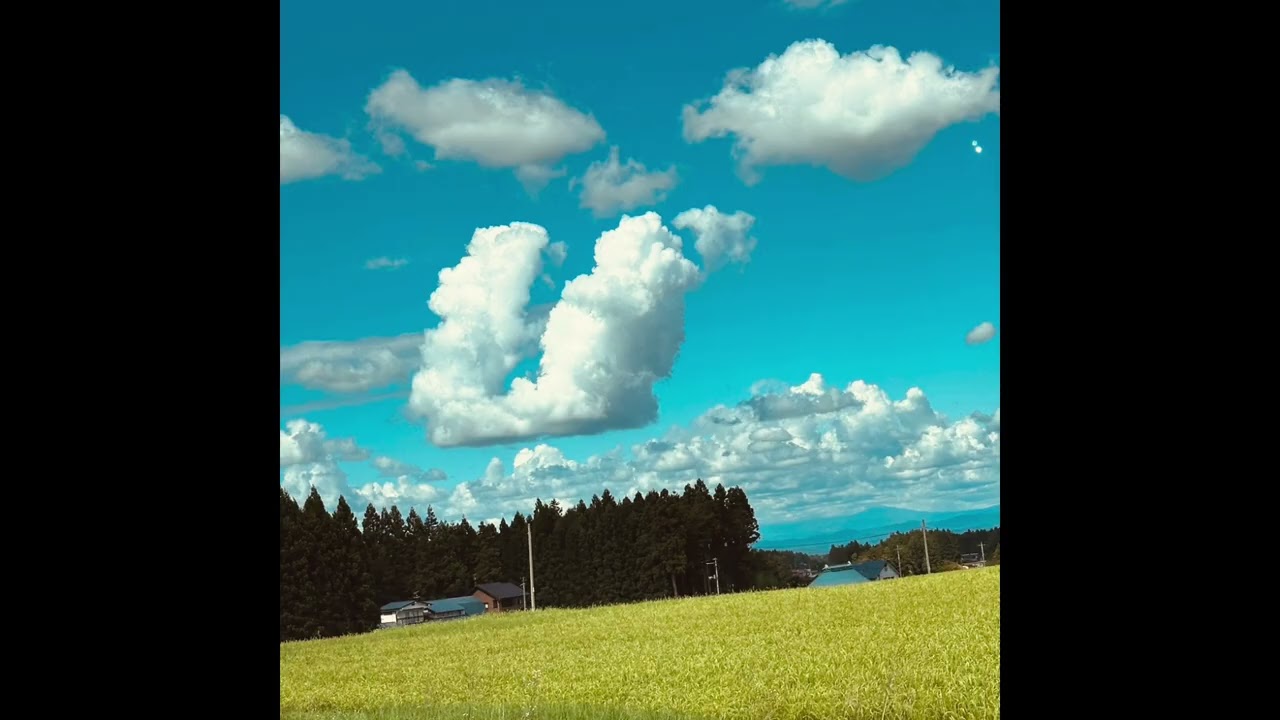 It's My Hope〜光る石を抱えて - Fasanschmitt