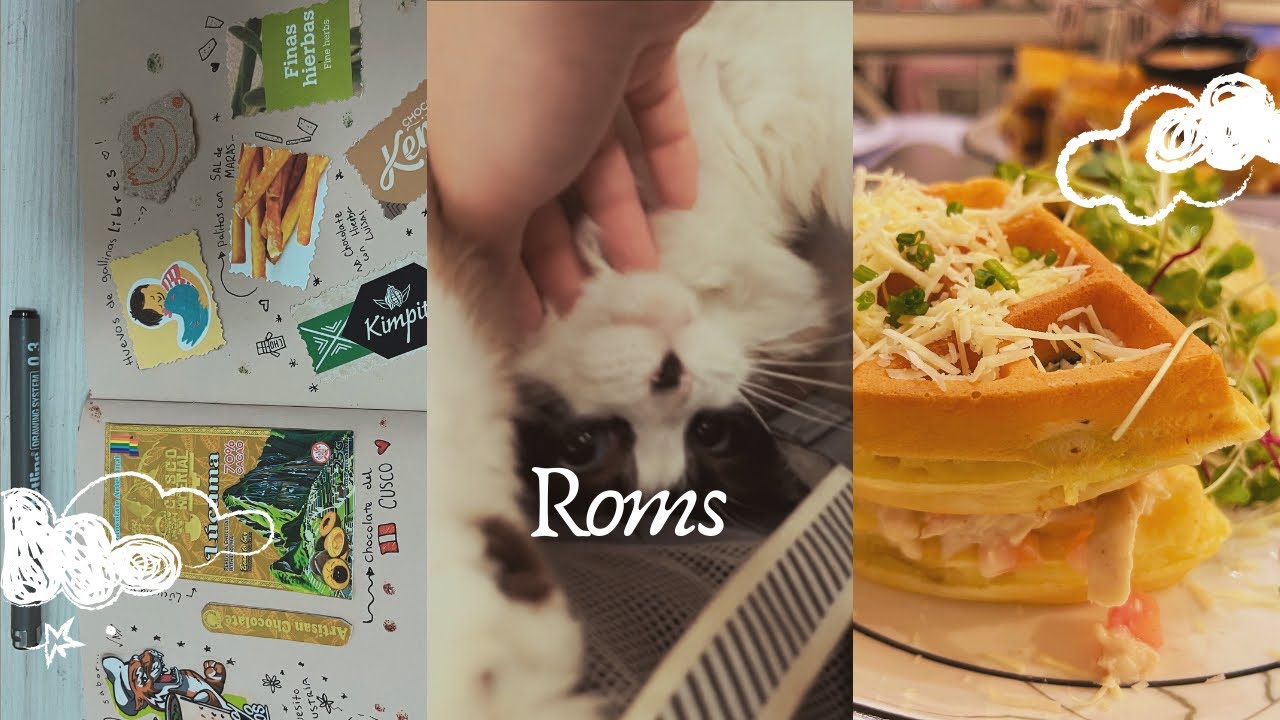 Life diaries ~ Cozy weekend 🐈 coconut icecream 🥥 scrapbooking ~ junk journal ✂️ date night ✨