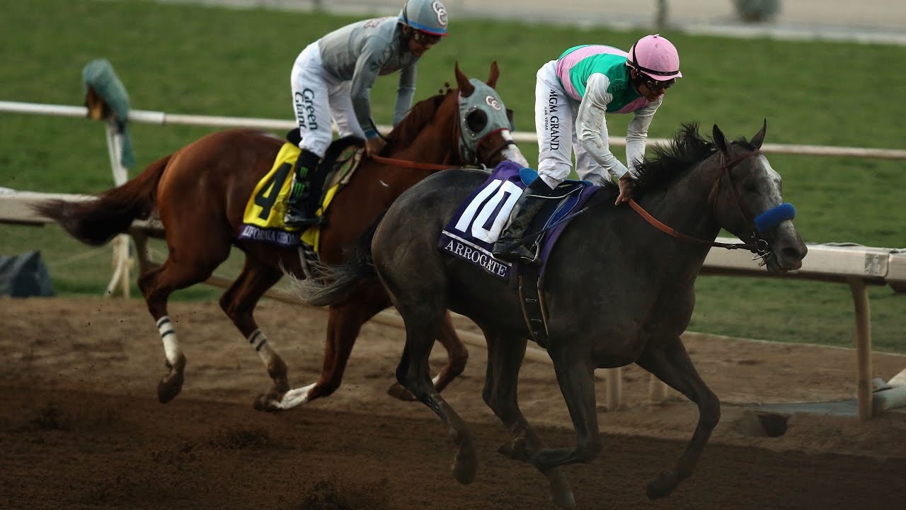 Аррогейт выигрывает Breeders' Cup Classic из Калифорнии Хром