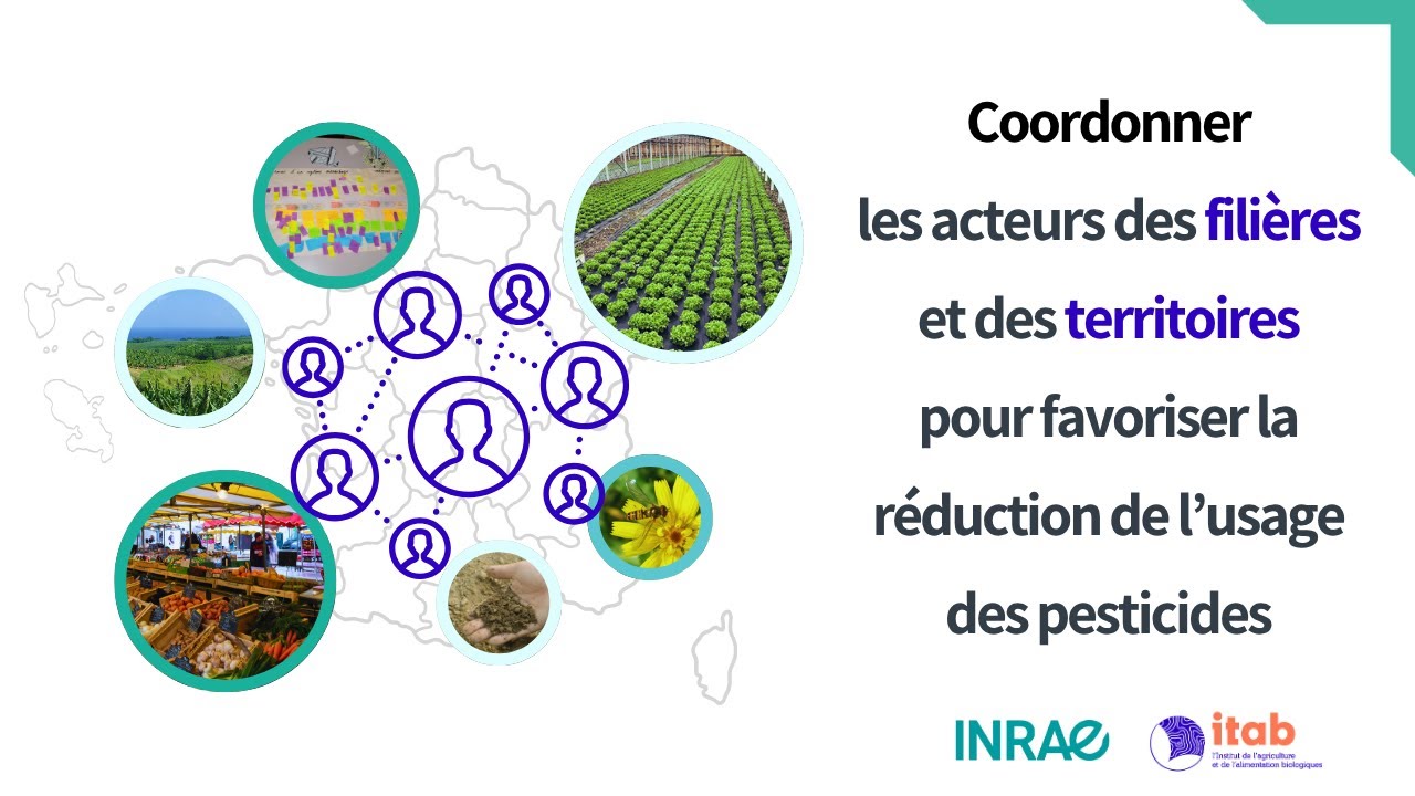Coordonner les acteurs des filières et des territoires pour réduire l’usage des pesticides