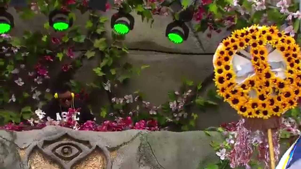 TomorrowWorld 2014 | Carnage