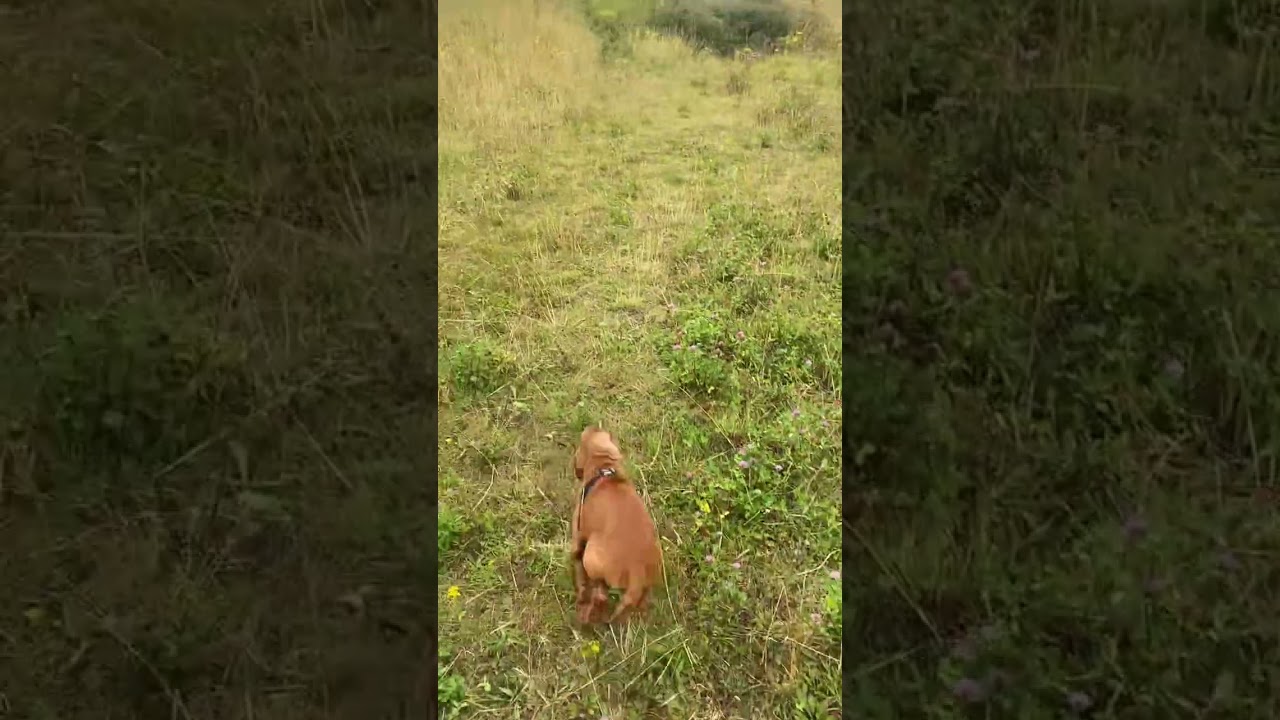 Flash first time off lead