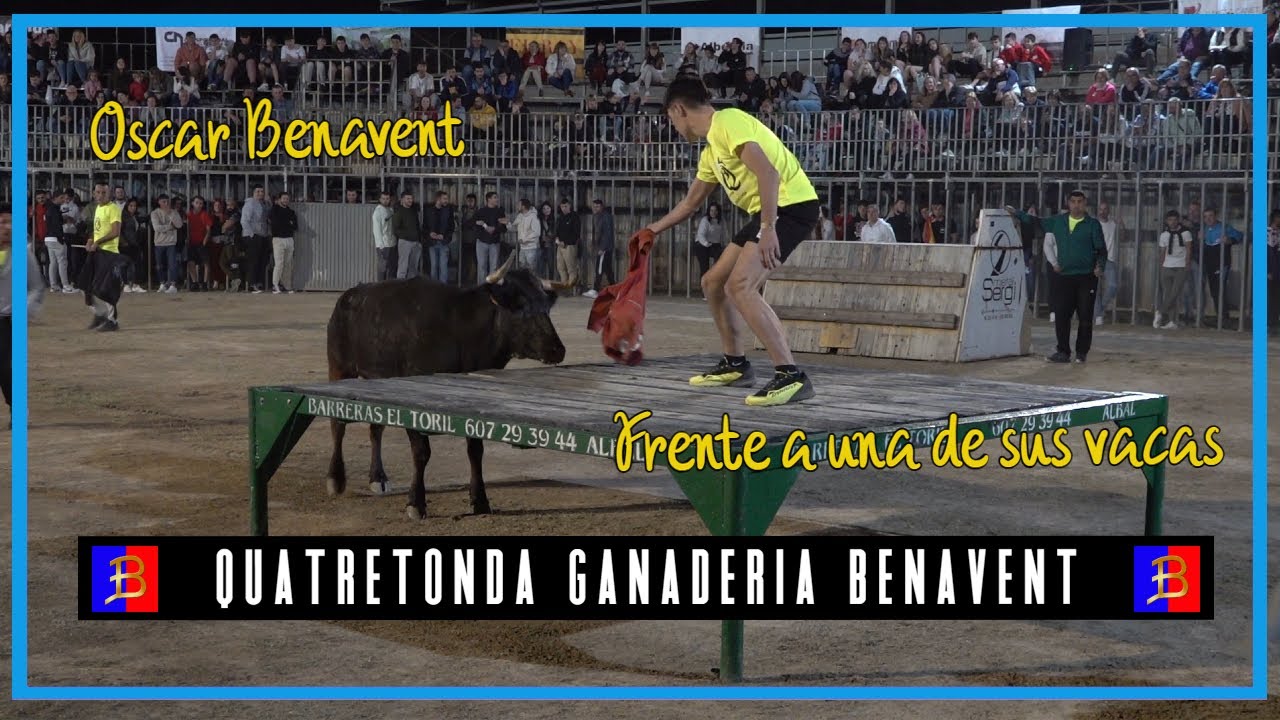 🅱 Quatretonda 31▪ 03 ▪ 23 Ganadería Benavent 🅱