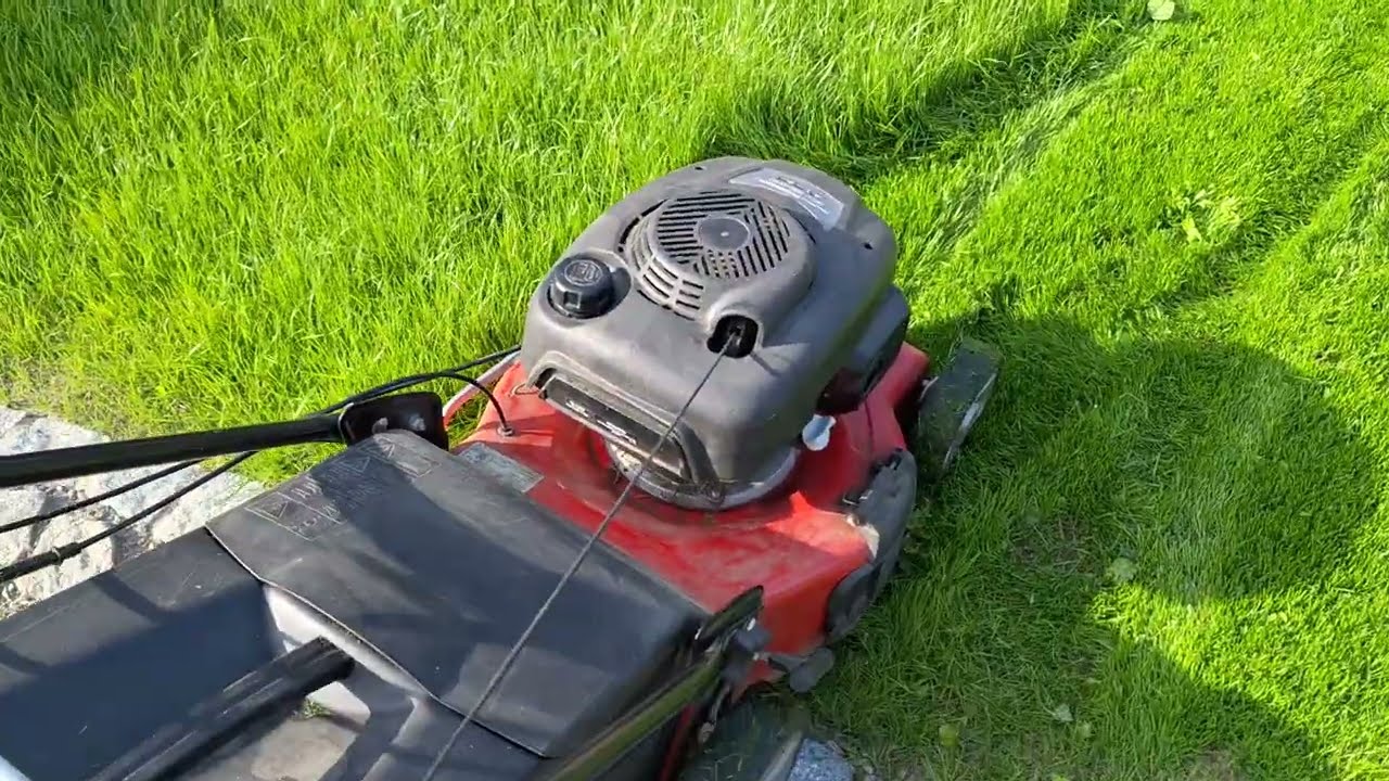Prvn&iacute; sek&aacute;n&iacute; nově zaset&eacute; tr&aacute;vy benz&iacute;novou sekačkou na tr&aacute;vu #sekačka #zahrada