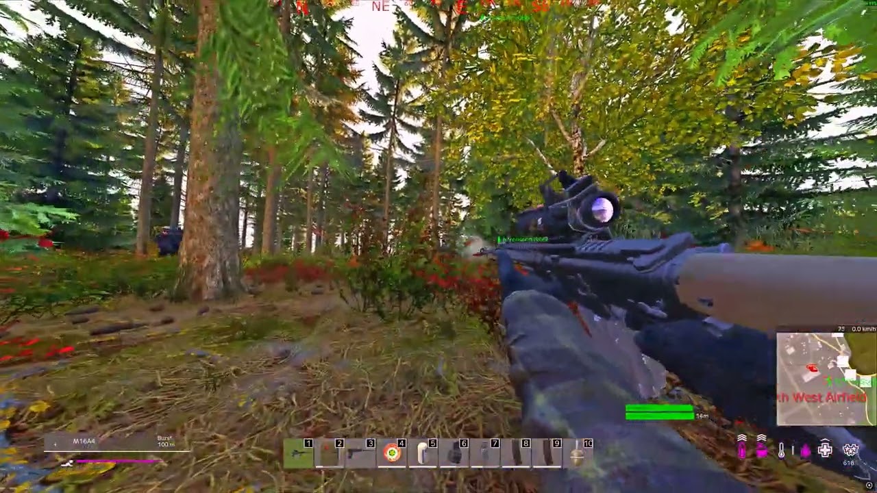 8 NWAF kills - DayZ