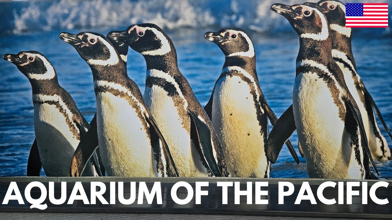 Aquarium Of The Pacific | Long Beach | California @aquariumpacific