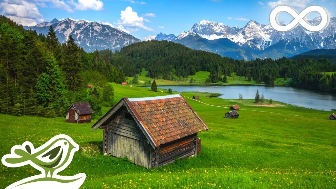 Paradise: Красивая расслабляющая музыка с фортепиано, виолончелью, дудуком, флейтой и скрипкой
