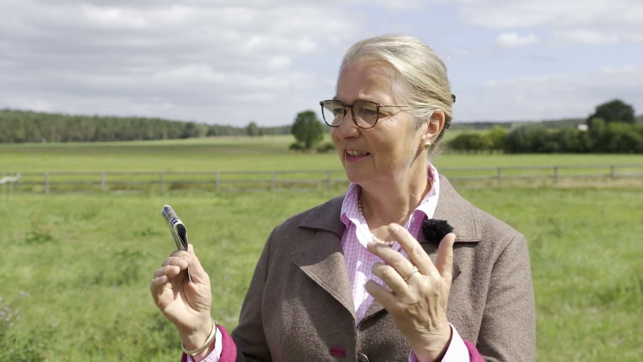 Fehlentwicklungen in der Pferdezucht und im Pferdesport - Karin Lührs