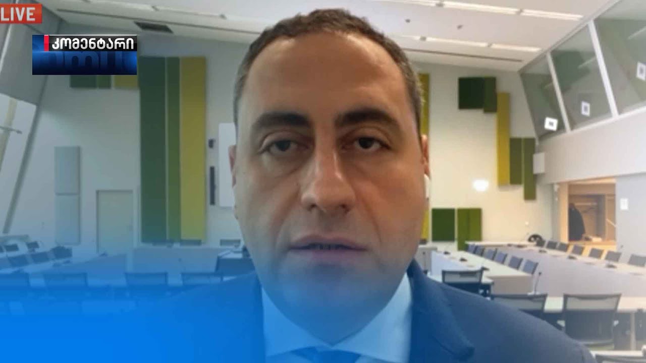გვაქვს ორმხრივი შეხვედრები ეროვნული პარლამენტის წარმომადგენლებთან — გიორგი ვაშაძე
