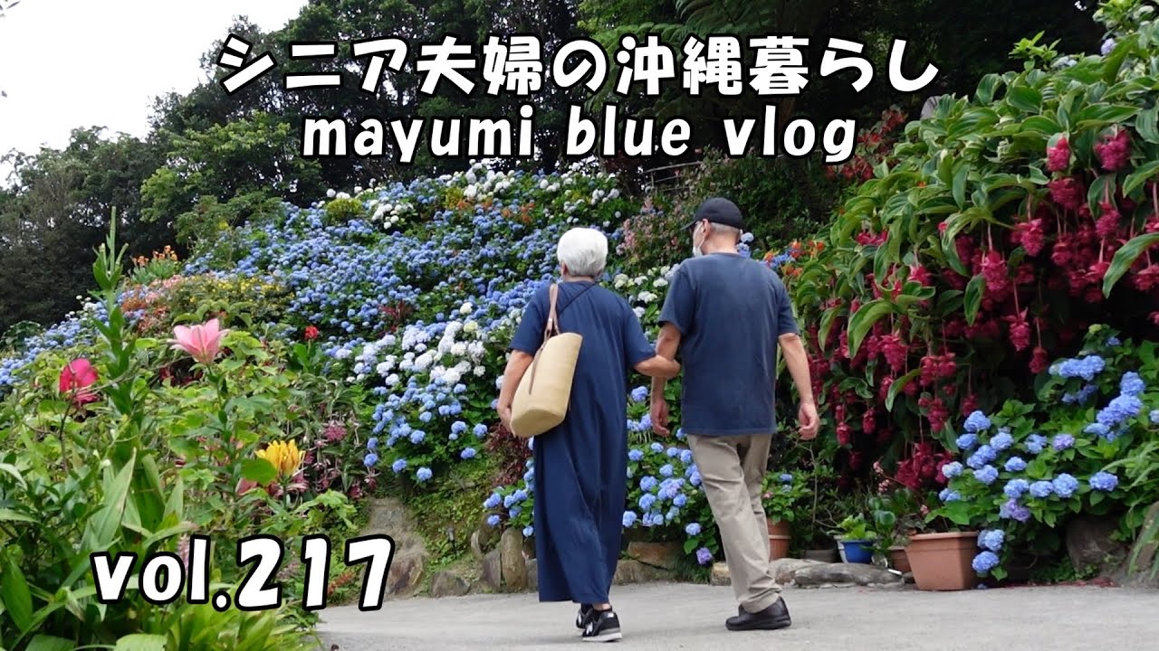 【沖縄暮らしvlog】沖縄ドライブ/よへなあじさい園であじさい鑑賞/沖縄の梅雨明け/我が家も夏仕様/沖縄そばで焼きそば/コンビニスイーツでおやつタイム
