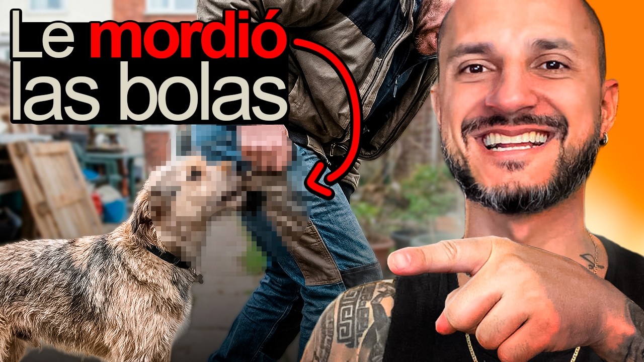 UN PERRO SE LAS MORDIO | El Muñe