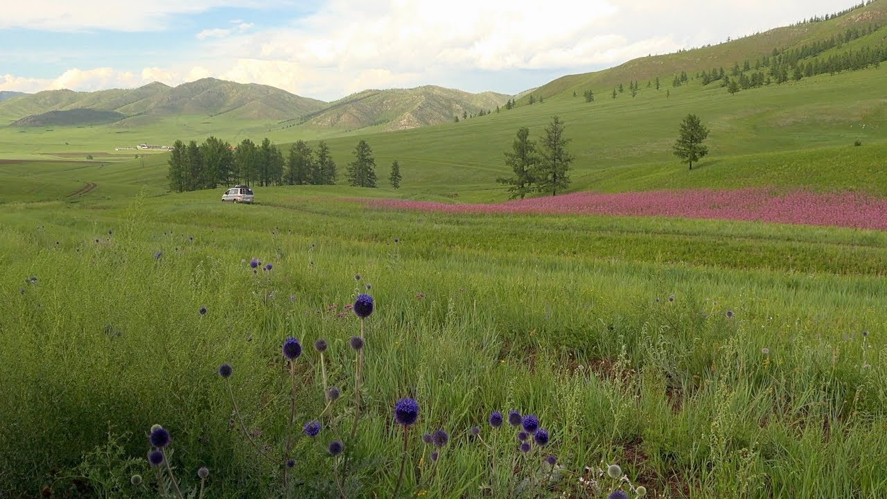 Rondreis Mongolië 2018 / Mongolia Roadmovie /  UB / Nadaam / Landschapes / Monasteries