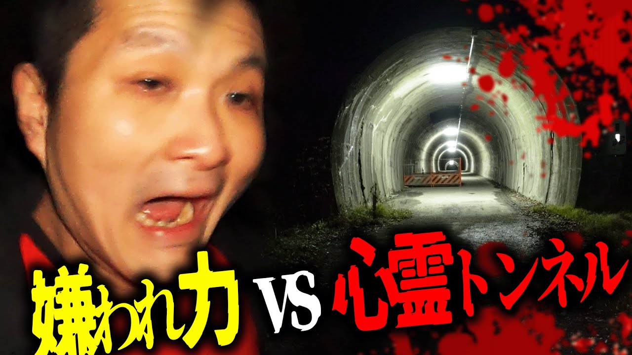 【万が一好かれたら終わり】ノキはオバケにも嫌われるのか!?