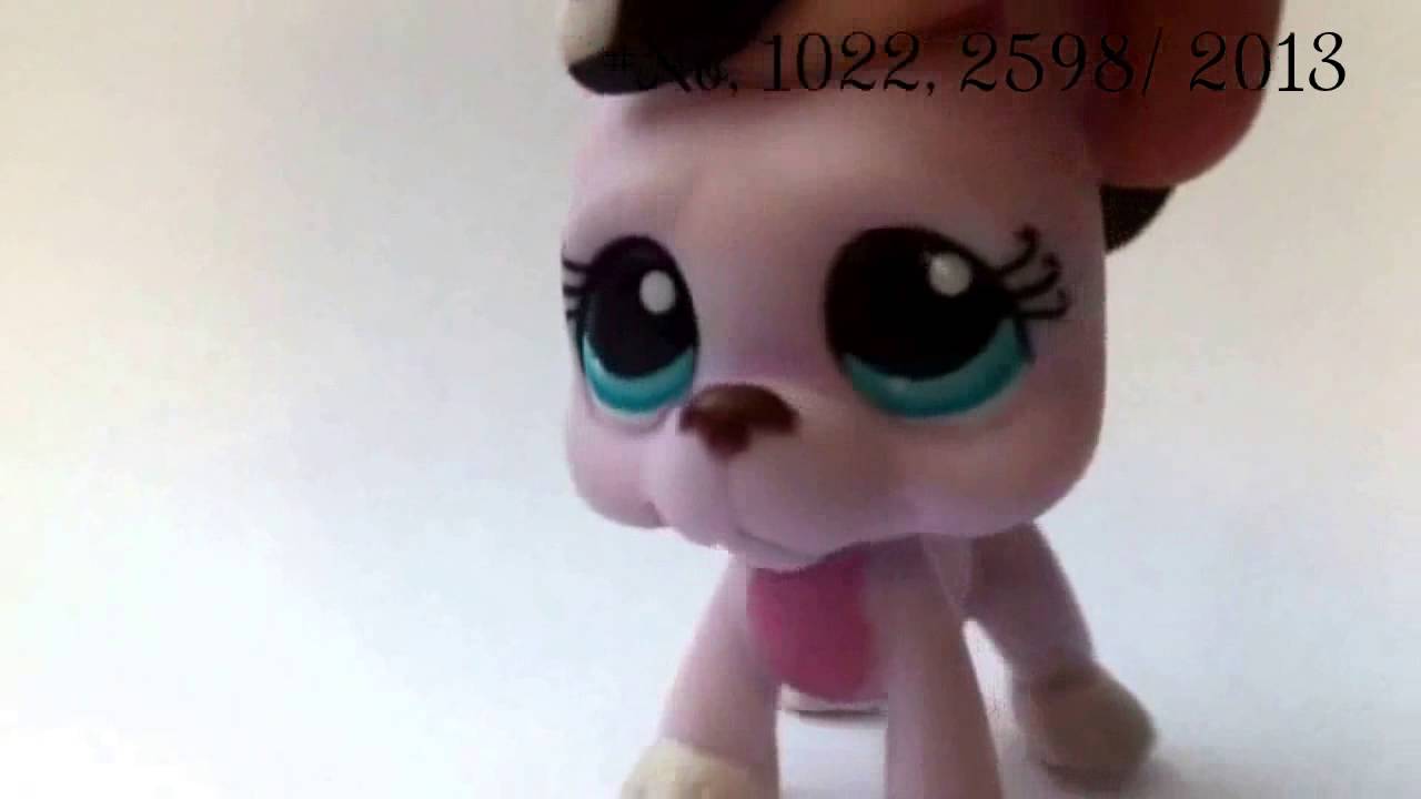 M&aacute; sb&iacute;rka Littlest Pet Shop dog #1