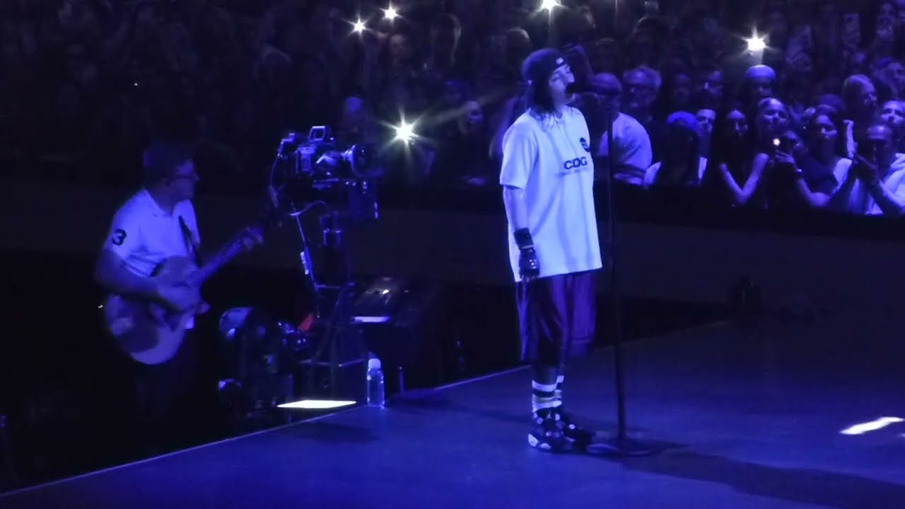 Billie Eilish - WILDFLOWER | Live Ziggo Dome Amsterdam 2025