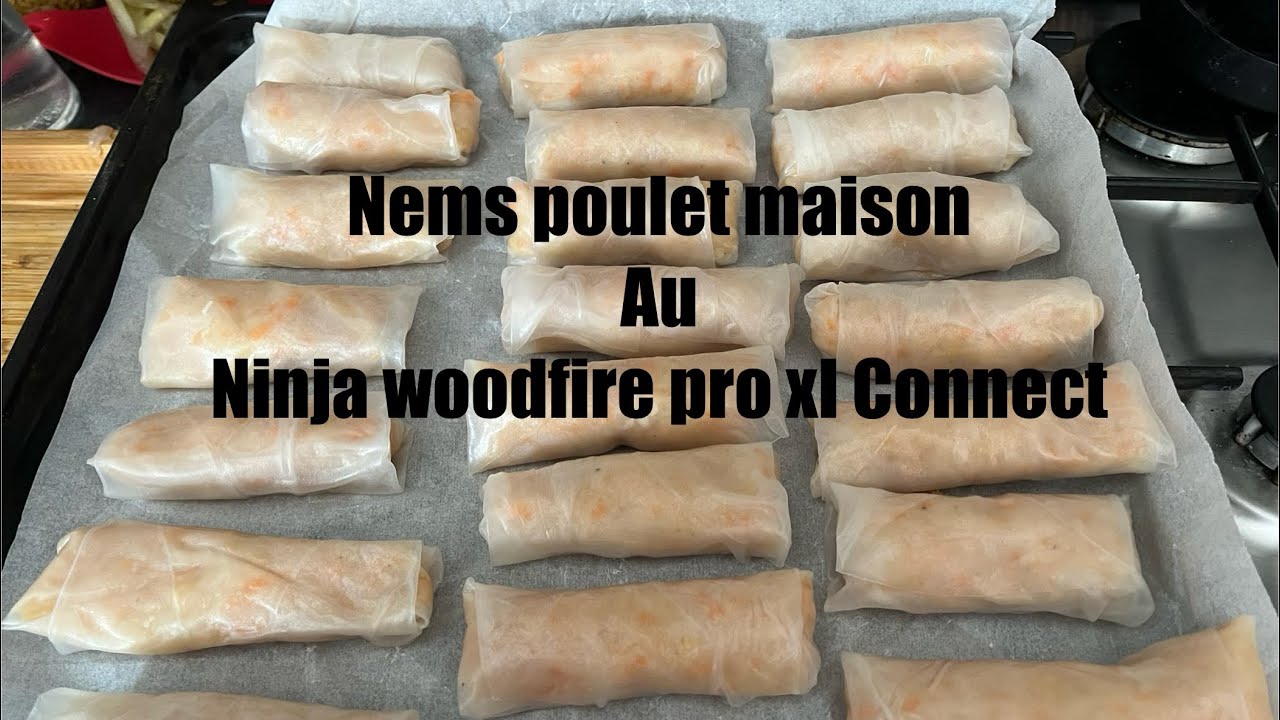 Nems poulet maison avec le Ninja woodfire Connect pro xl