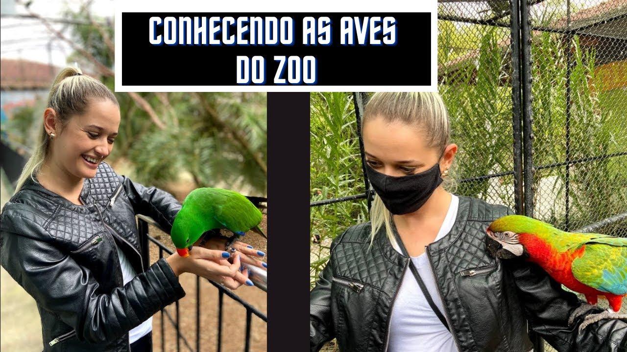 ZOO POMERODE - POMERODE / SC