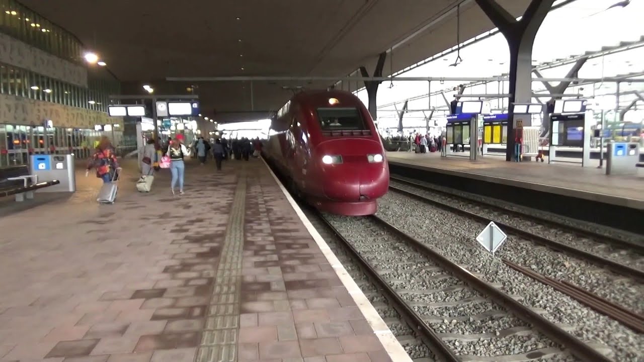 Treinen in Rotterdam Centraal, met Eurostar & Disney-Thalys | de treinreiziger treint door Nederland