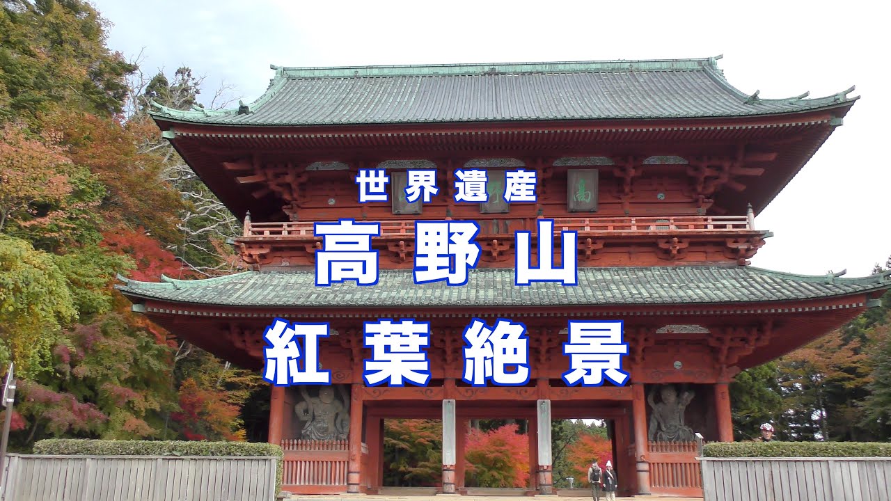 2025年　高野山の紅葉　絶景