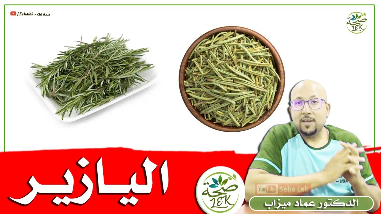 فوائد اليازير المغربي وطرق استعاله في وصفات الشعر والبشرة / د. عماد ميزاب Doktor imad mizab