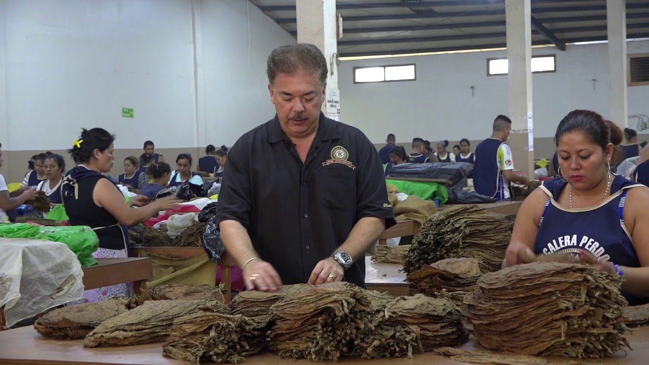 Nick Perdomo Explains How Tobacco Leaves are Sorted and Classified after the Fermentation Process