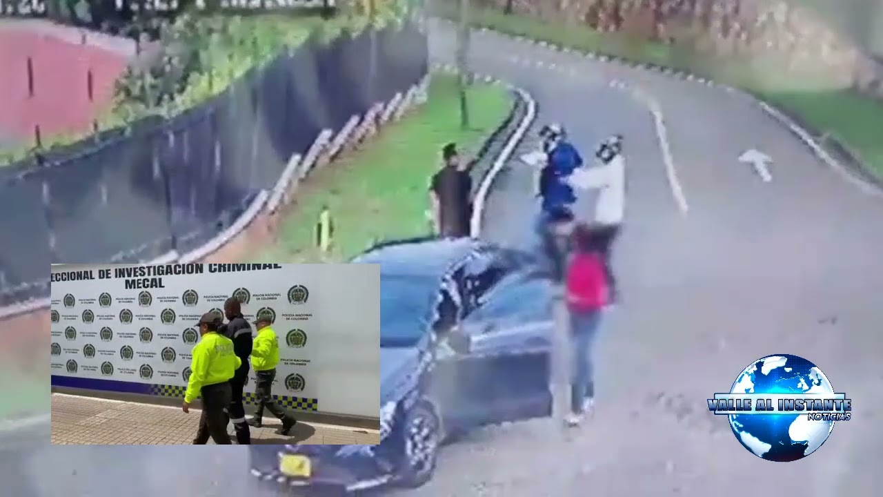 Cay&oacute; alias &lsquo;niche&rsquo; por hurtos en Cali