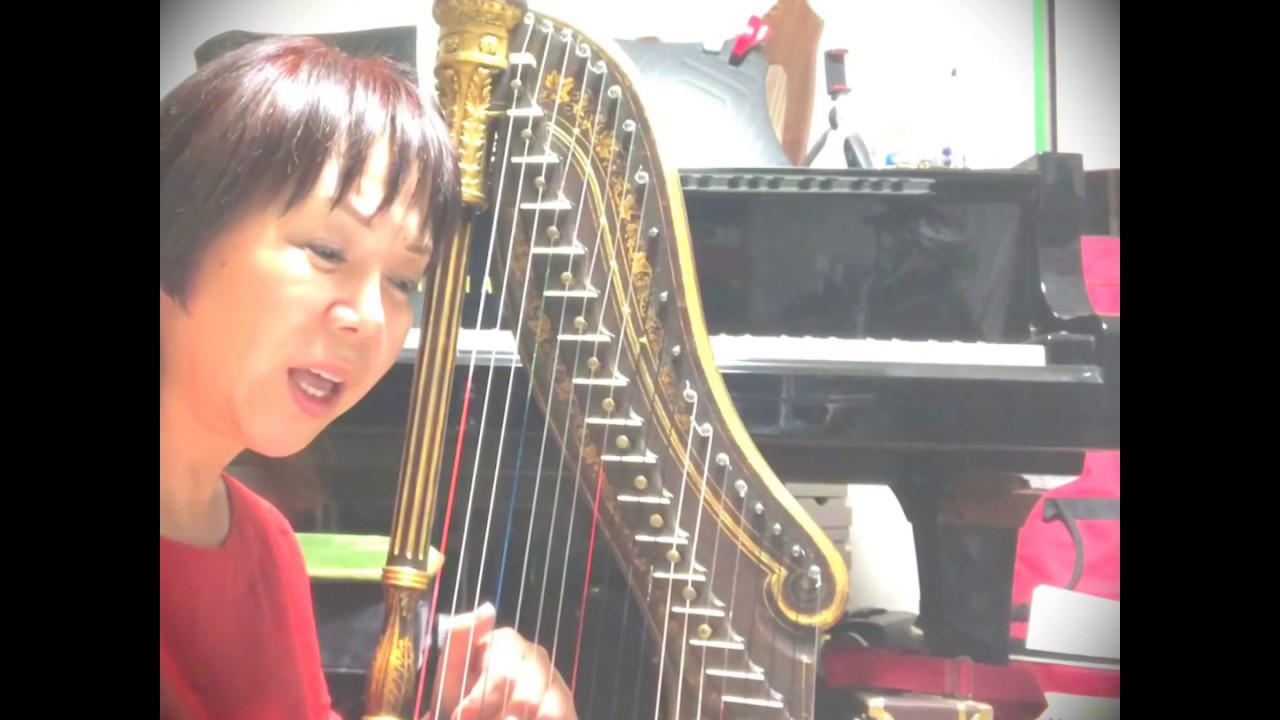 DITAL-HARP 修復完了〜Maria Mikiko