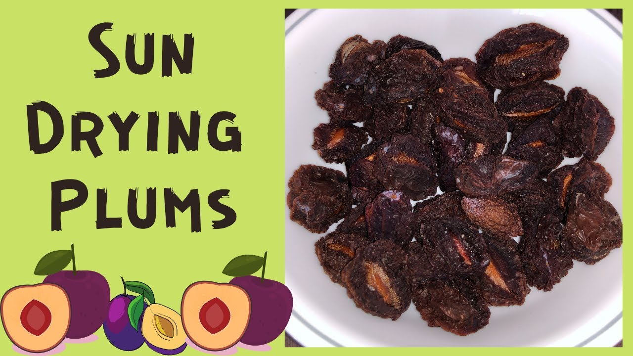 || Sun Dried Plums || No Preservatives ||