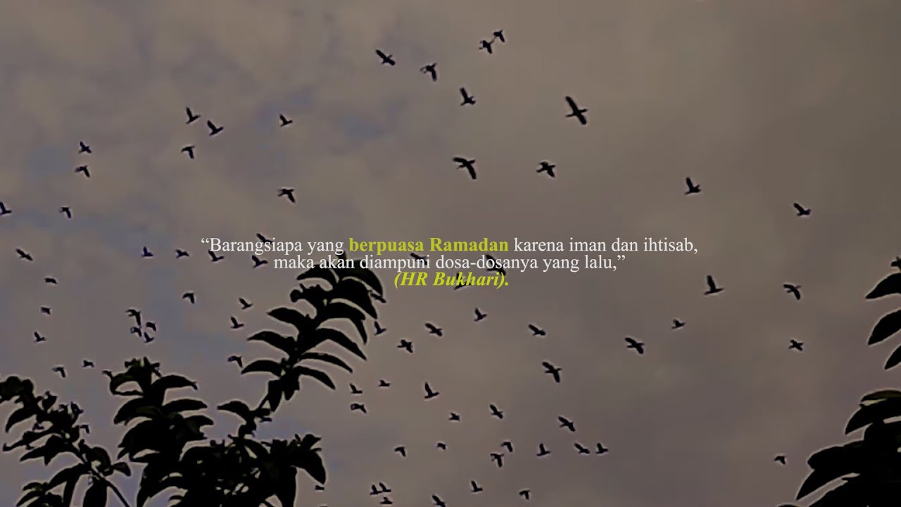 Cinematic Ramadhan 1443 H - Ramadhan 2022