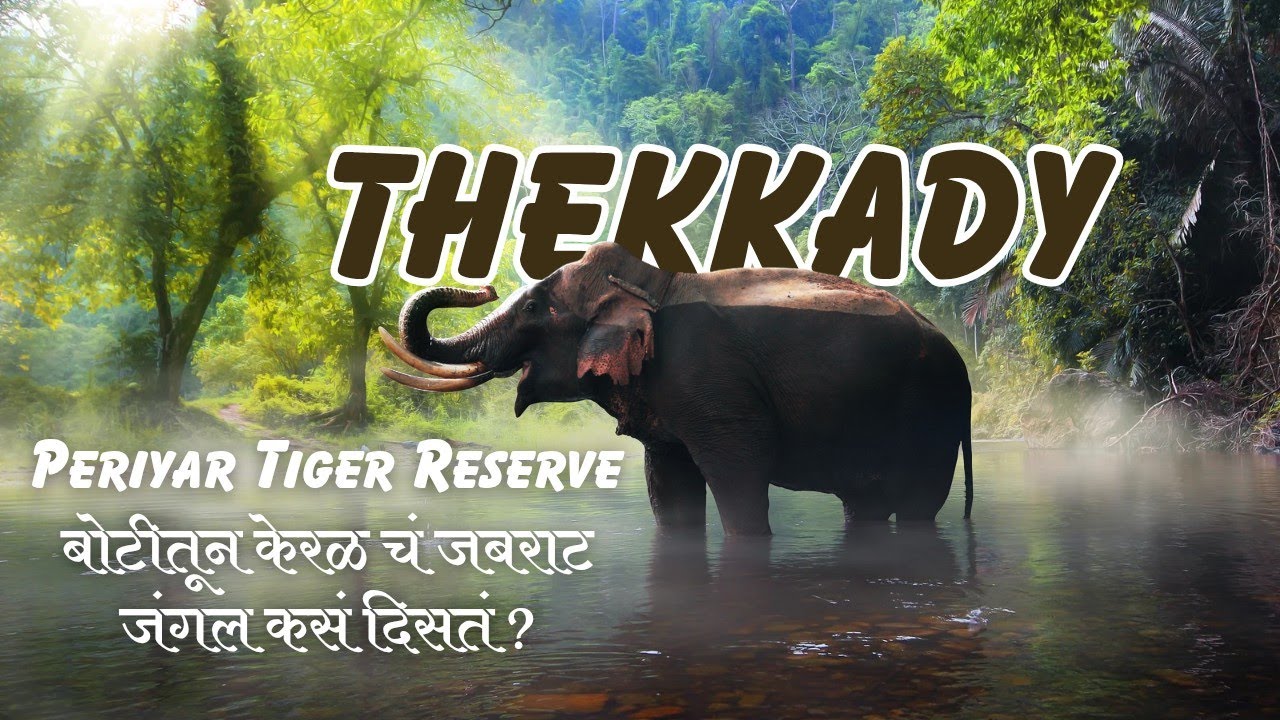 Boating in Periyar Tiger Reserve Full Information | Thekkady Wildlife Experience | Kerala Tourism 