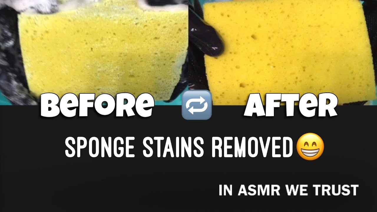 ASMR 🚿 Laundry Paste Sponge Rinsing | 3 Rinses +🌲 Pinalen |Sponge Stain Removal Complete (Part 3)