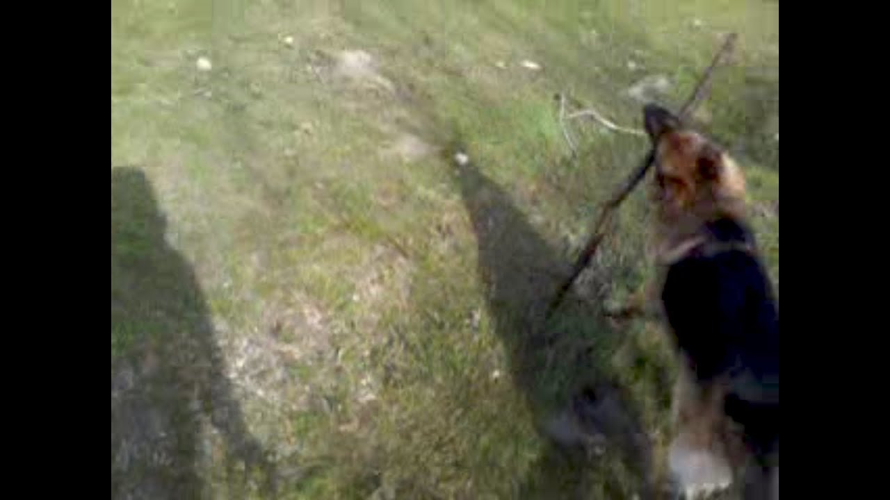 video-2013-04-12-18-07-54.mp4