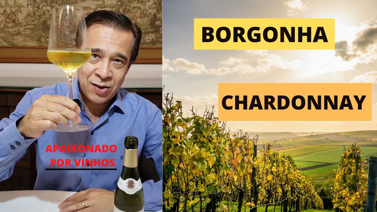 VINHOS DA BORGONHA - Chardonnay.