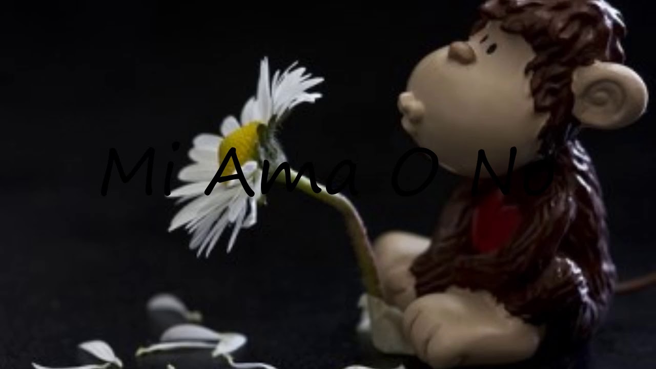 How to say Mi Ama O No in English?