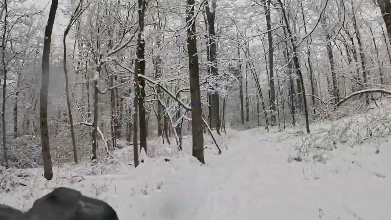 Snow Storm Adventure: Chimney Rock Fatbiking - Blue Middlebush Trail Towards Newman's Part 2