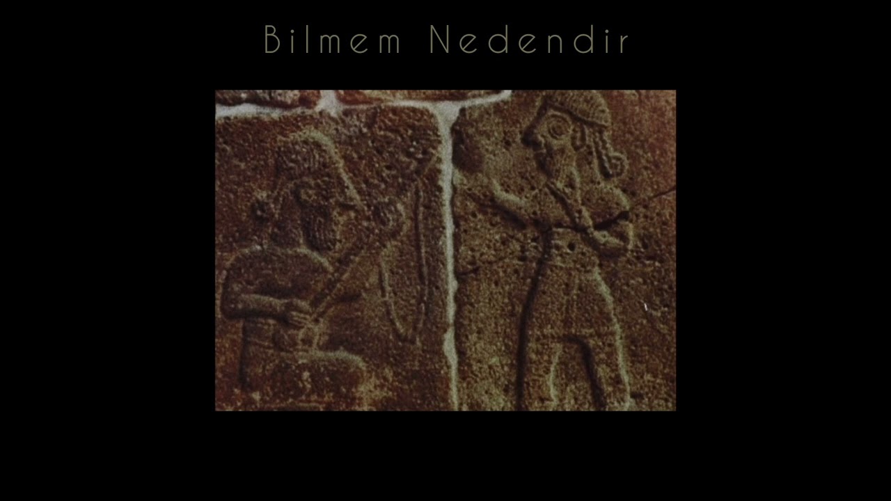 Sinan Bayrak - Bilmem Nedendir