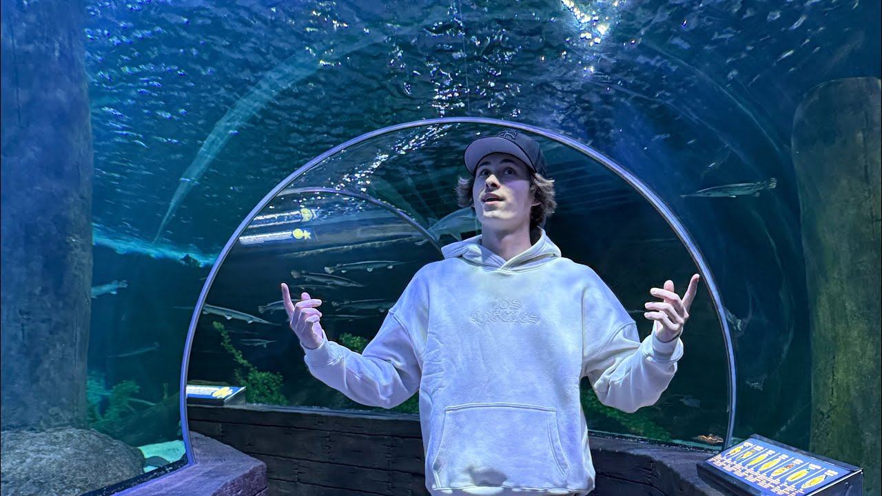 !!1st Vlog!! going to Sea World🦈 at the Mall of America 🇺🇸